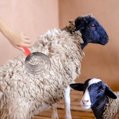 ZooVenture Grattoir Pour Cheval Anti - Démangeaisons Et À Sueur ZooVenture Grattoir Pour Cheval Anti - Démangeaisons Et À Sueur