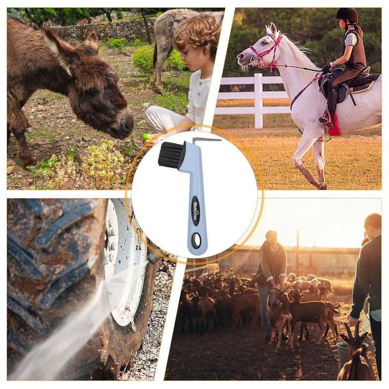 ZooVenture Cure - Pied 2 Pcs Solide Avec Poignée Ergonomique Pour Chevaux