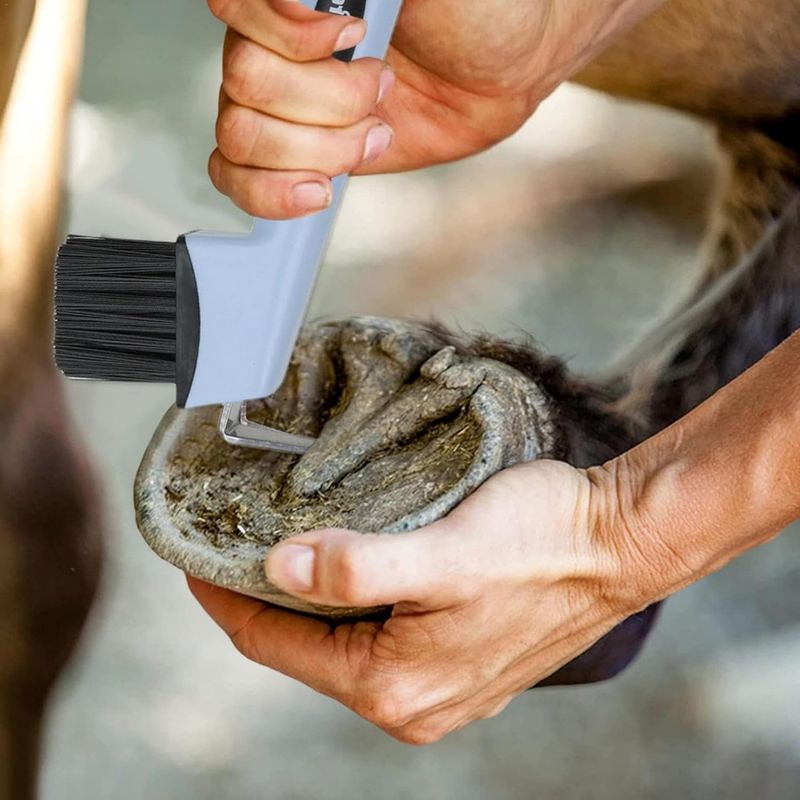 ZooVenture Cure - Pied 2 Pcs Solide Avec Poignée Ergonomique Pour Chevaux