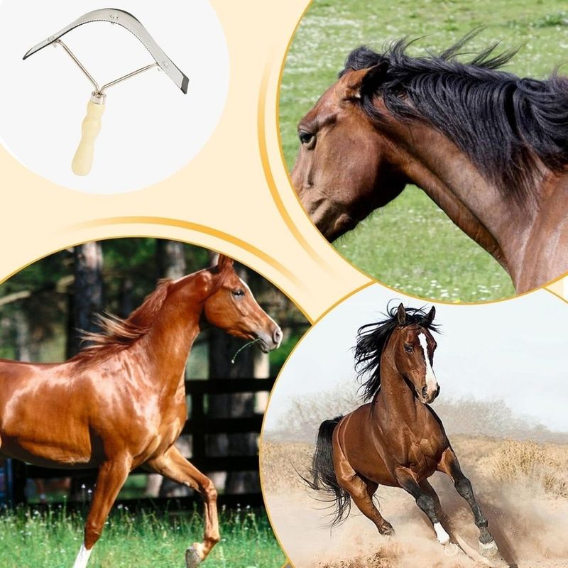 ZooVenture Grattoir À Sueur De Cheval Antidérapant Pour Grands Animaux