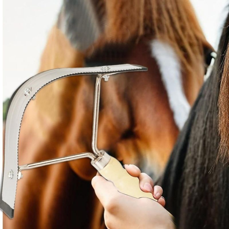ZooVenture Grattoir À Sueur De Cheval Antidérapant Pour Grands Animaux