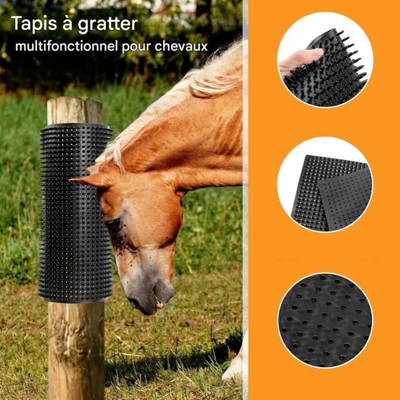 ZooVenture Lot 2 Tapis Griffoirs Pour Cheval Bovin Chèvre Mouton