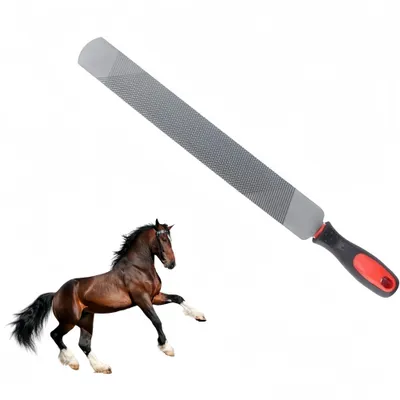 ZooVenture Fichier Maréchal - Ferrant Double Face Pour Chevaux ZooVenture Fichier Maréchal - Ferrant Double Face Pour Chevaux