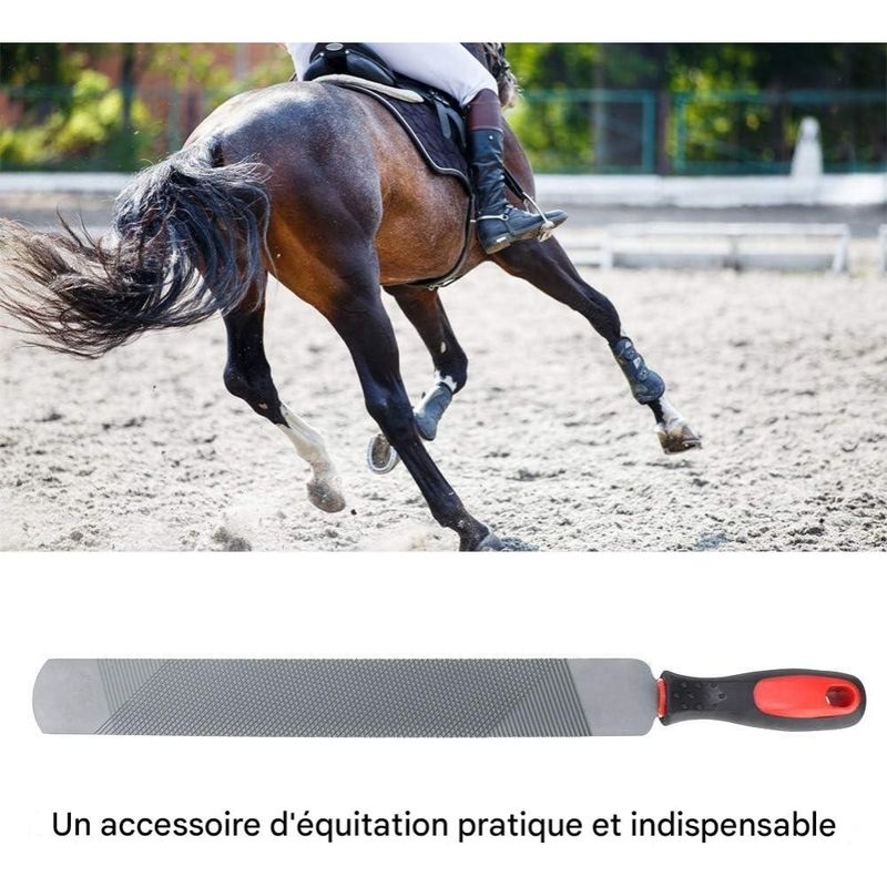 ZooVenture Fichier Maréchal - Ferrant Double Face Pour Chevaux