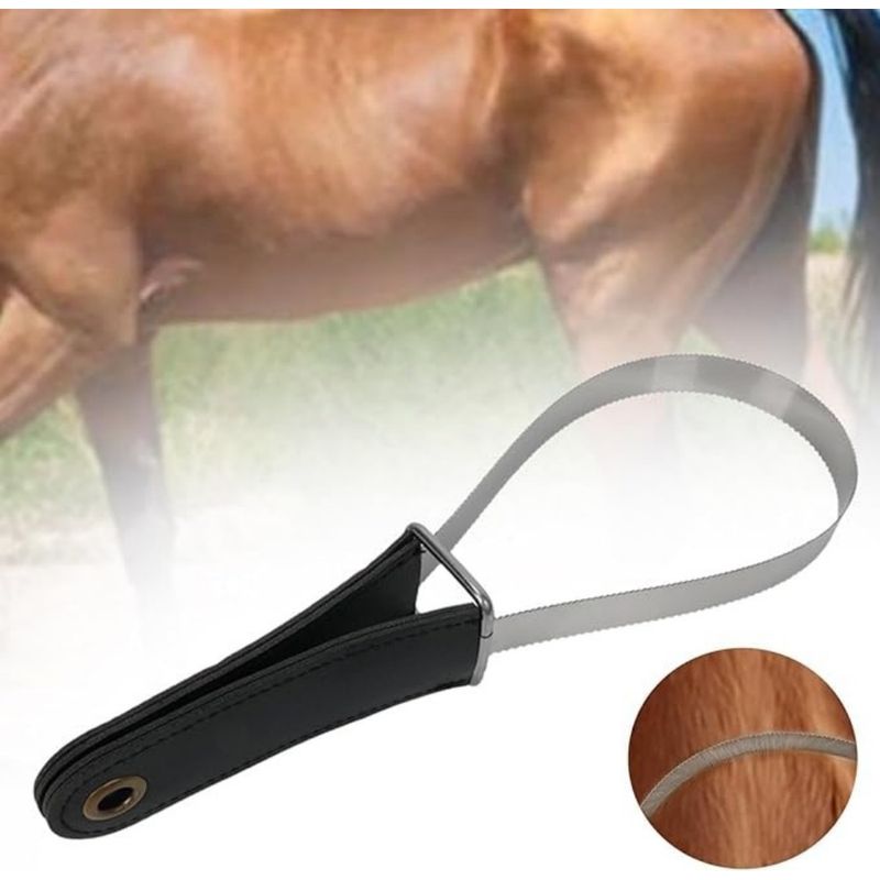 ZooVenture Outil De Sudation Pour Cheval Et Bœuf