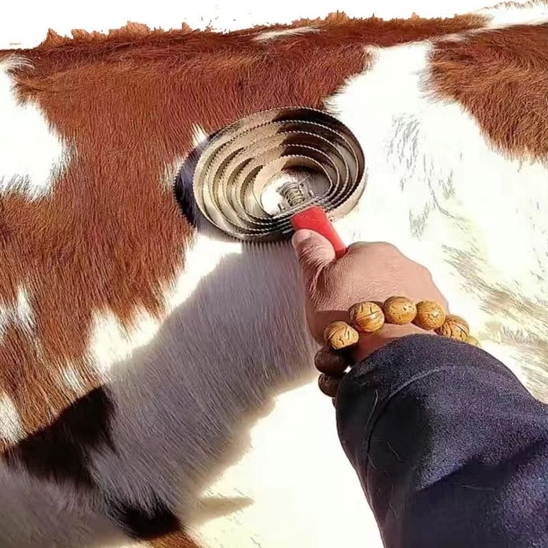 ZooVenture Étrille En Acier Inoxydable Confortable Et Robuste Pour Cheval