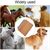 ZooVenture Brosse De Toilettage Et De Massage Pour Chevaux Chats Chiens