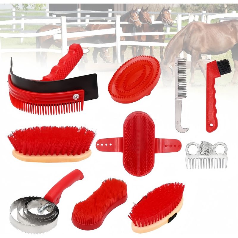 ZooVenture Brosses Pour Chevaux Ensemble De 10 Pièces