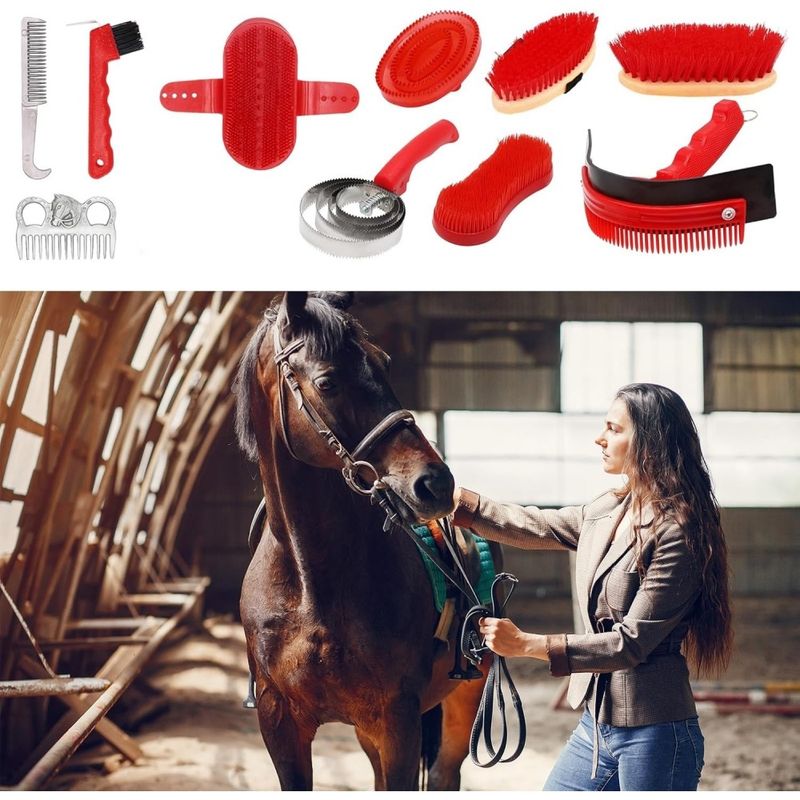 ZooVenture Brosses Pour Chevaux Ensemble De 10 Pièces