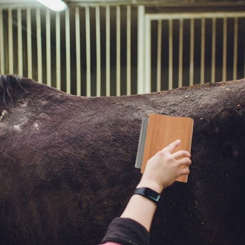 ZooVenture Brosse De Toilettage Et De Massage Pour Chevaux Chats Chiens