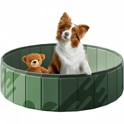 Pet Planet SplashFun Piscine Pliable Pour Chien