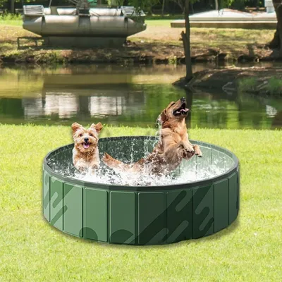Pet Planet SplashFun Piscine Pliable Pour Chien