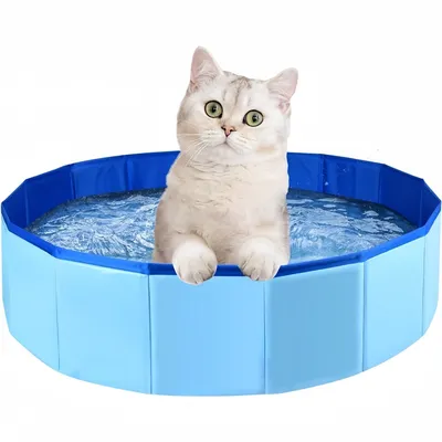 Pet Planet AquaFun Baignoire Et Piscine Pliable Pour Chiens Et Chats