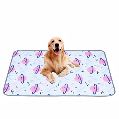 FurryFusion Tapis absorbant pour chien FurryFusion Tapis absorbant pour chien