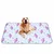 FurryFusion Tapis absorbant pour chien FurryFusion Tapis absorbant pour chien