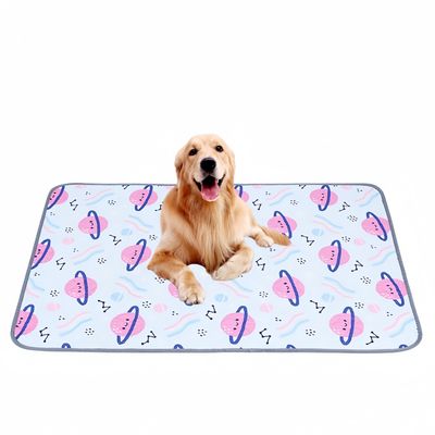 FurryFusion Tapis absorbant pour chien