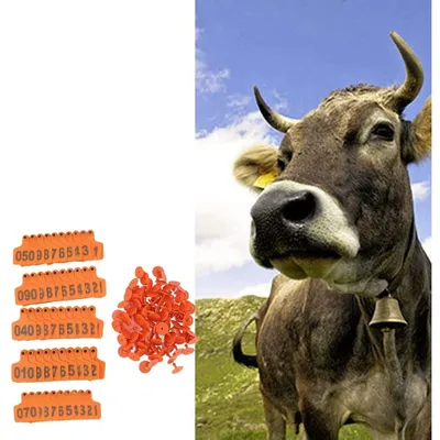 ZooVenture Lot De 100 Étiquettes D'oreille Numérotées En TPU Pour Vaches ZooVenture Lot De 100 Étiquettes D'oreille Numérotées En TPU Pour Vaches