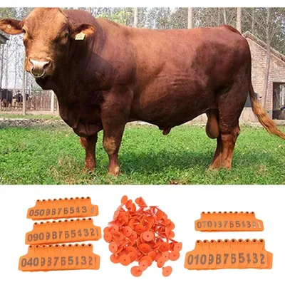 ZooVenture Lot De 100 Étiquettes D'oreille Numérotées En TPU Pour Vaches ZooVenture Lot De 100 Étiquettes D'oreille Numérotées En TPU Pour Vaches