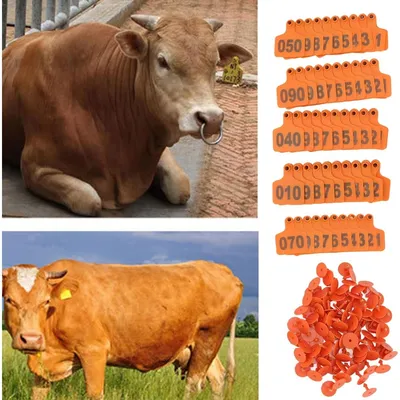 ZooVenture Lot De 100 Étiquettes D'oreille Numérotées En TPU Pour Vaches ZooVenture Lot De 100 Étiquettes D'oreille Numérotées En TPU Pour Vaches