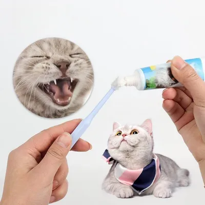 ZenPets Brosses à dents pour chat et chien