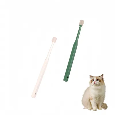ZenPets Brosses à dents pour chat et chien