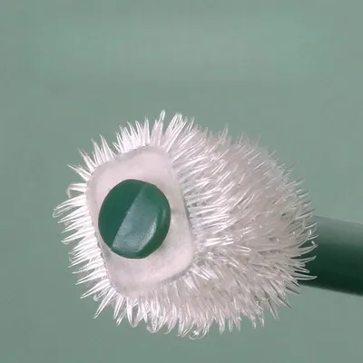 ZenPets Brosses à dents pour chat et chien