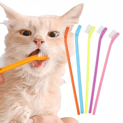 FurryFusion Juego de 5 cepillos de dientes para mascotas