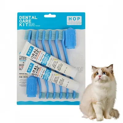 FurryFusion Ensemble de dentifrice et brosse à dents pour chat