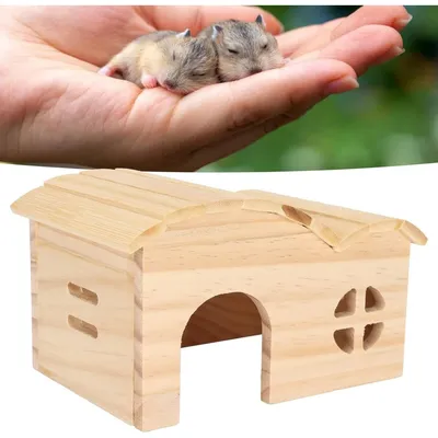 ZooVenture Maison En Bois Sans Fond Résistante Aux Morsures Pour Hamster