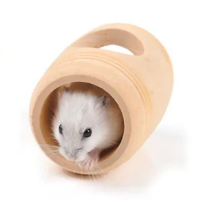 ZooVenture Lot De 4 Jouets - Cachettes En Bois Naturel Pour Hamster