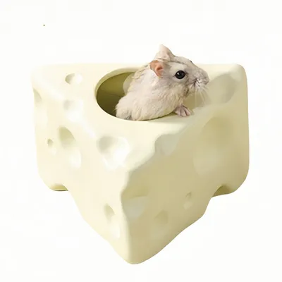 FurryFusion Cachette pour petits animaux en forme de fromage