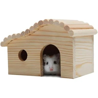 ZooVenture Maison En Bois Sans Fond Résistante Aux Morsures Pour Hamster