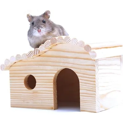 ZooVenture Maison En Bois Sans Fond Résistante Aux Morsures Pour Hamster