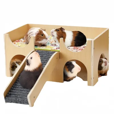 FurryFusion Petite cachette pour animaux en bois avec escaliers