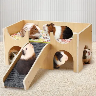 FurryFusion Petite cachette pour animaux en bois avec escaliers