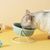 UAMLY Gamelle inclinée anti-refoulement pour chat