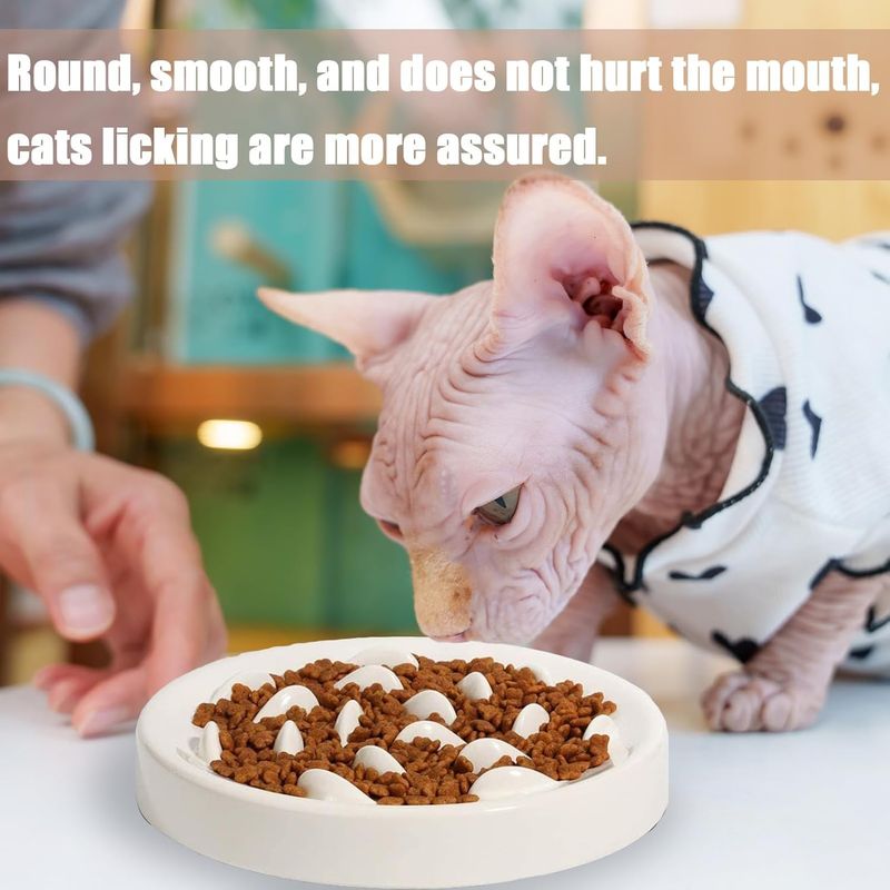 UAMLY Gamelle à alimentation lente pour chat