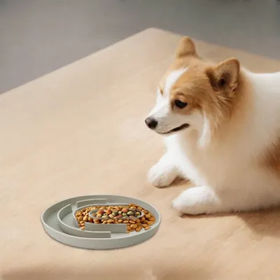 ZenPets Gamelle en silicone pour alimentation lente