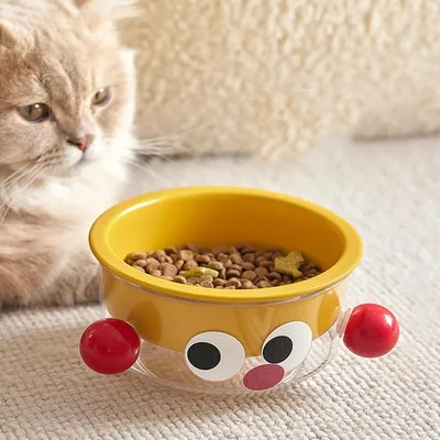 UAMLY Gamelle pour chat en céramique 2 en 1