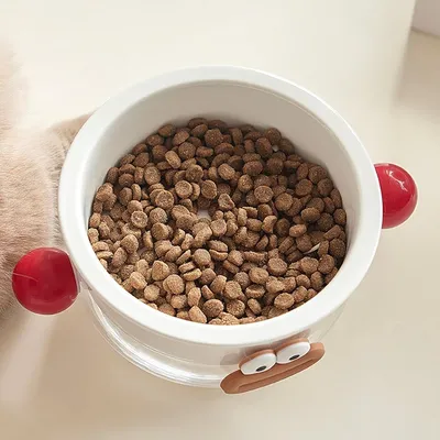 UAMLY Gamelle pour chat en céramique 2 en 1
