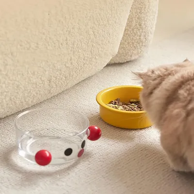UAMLY Gamelle pour chat en céramique 2 en 1