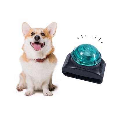 IntiMeg Lampe de poche à collier pour animaux