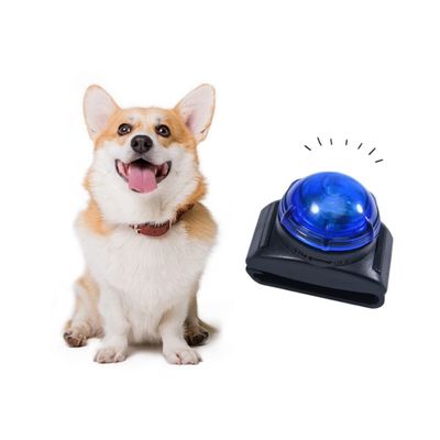 IntiMeg Lampe de poche à collier pour animaux