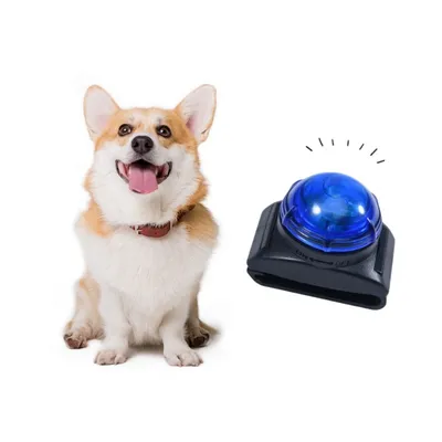 IntiMeg Lampe de poche à collier pour animaux IntiMeg Lampe de poche à collier pour animaux