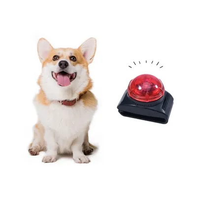 IntiMeg Lampe de poche à collier pour animaux