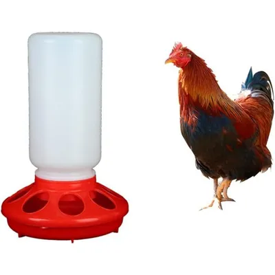 ZooVenture Abreuvoir Mangeoire Auto Pour Petits Oiseaux