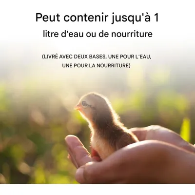 ZooVenture Abreuvoir Mangeoire Auto Pour Petits Oiseaux