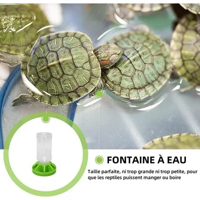 ZooVenture Dispensador de agua con botella para reptiles