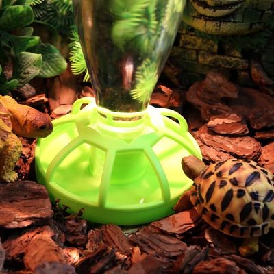 ZooVenture Dispensador de agua con botella para reptiles