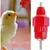 ZooVenture 15 Biberons Auto Eau Volaille Pour Poules Canards